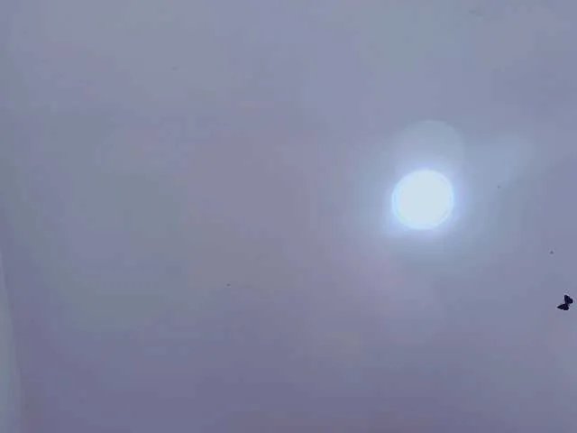 KattyLatina on BongaCams 