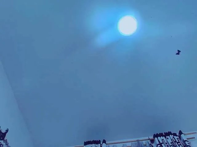 KattyLatina on BongaCams 