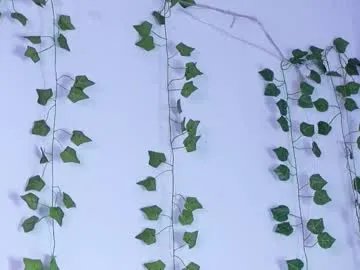 lyly_loveyou on Chaturbate 