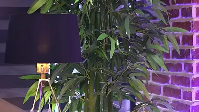 MillaSerene on StripChat 