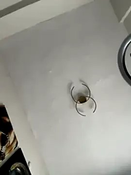 Teengirlmiaa on StripChat 